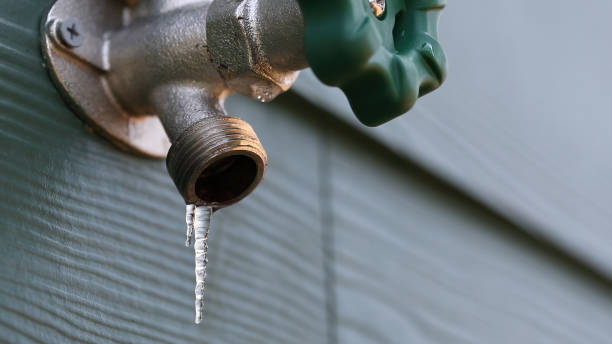 Best Shower Repair Services  in Sterling, AK